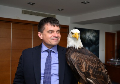 Orliak bielohlavý v ministerskej pracovni!