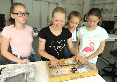 foto_min