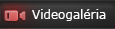 Videogaléria