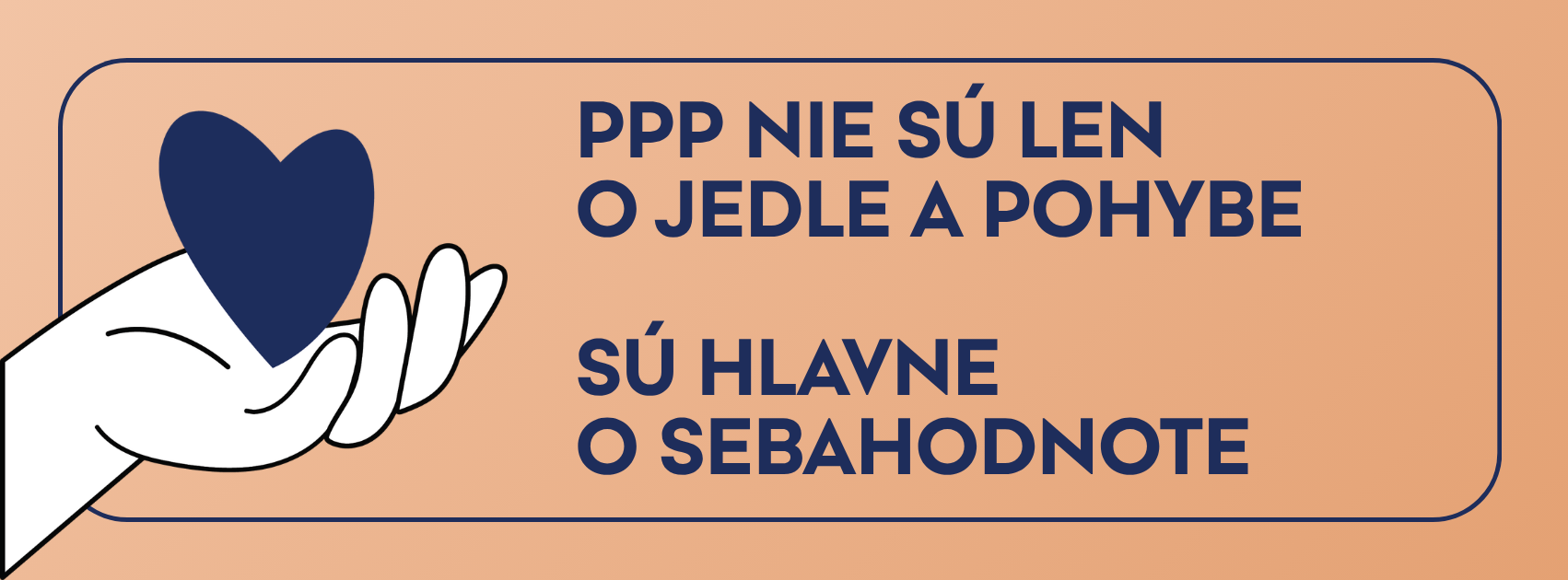 PPP_Banner – stratkom (8)