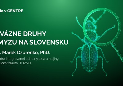 Invazne_druhy_hmyzu_na_slovensku_Dzurenko_banner_1920x1080