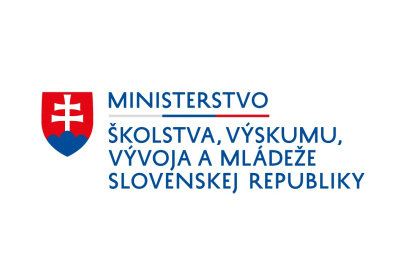 logo MSVVaM SR